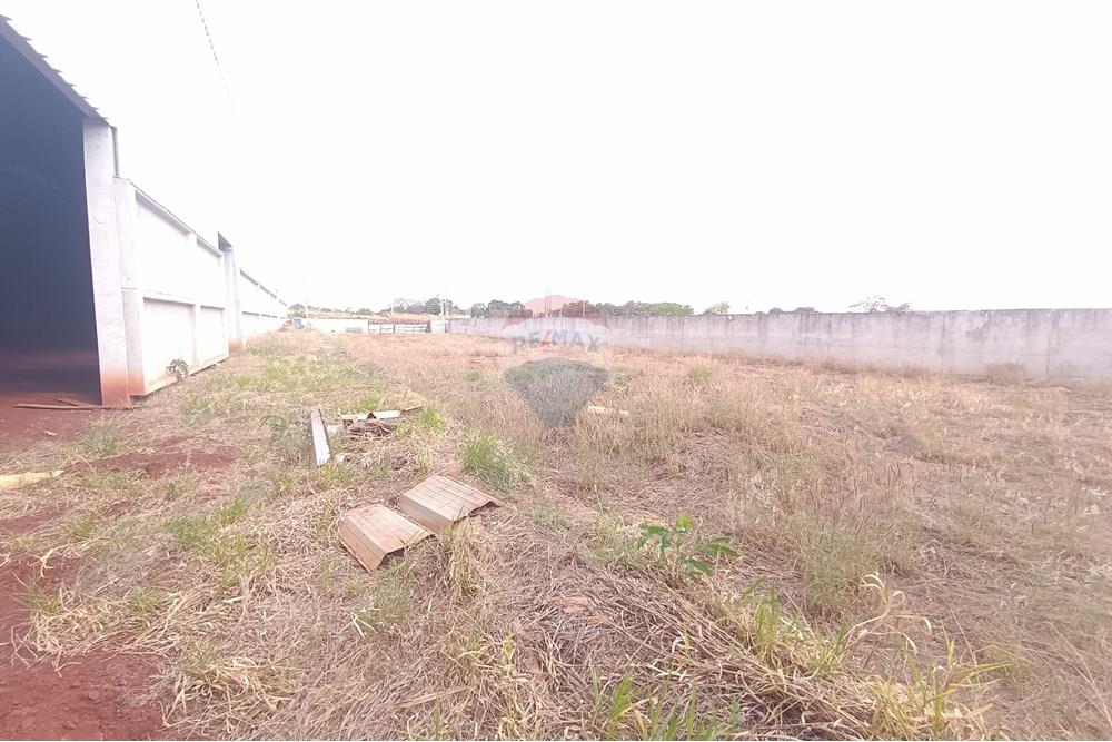 Galpão - Alugar - Ribeirão Preto , São Paulo - IMG_20250919_145123.jpg - 780181012-806