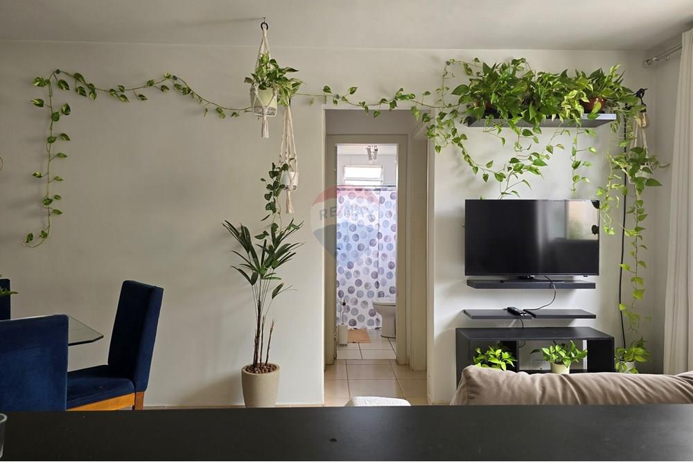 Apartamento - Alugar - Ribeirão Preto , São Paulo - 20250104_112046.jpg - 780171048-85