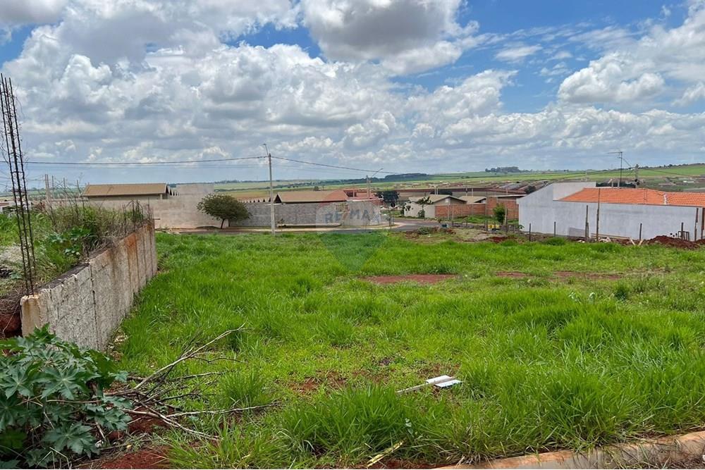 Terreno - Venda - Cravinhos , São Paulo - Terras de Carvinhos - Terreno 9.jpeg - 780271023-5