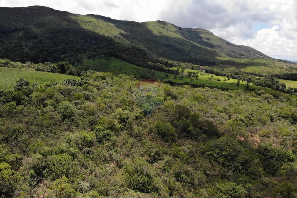 Chácara / Sítio / Fazenda - Venda - Delfinópolis , Minas Gerais - DJI_0050.JPG - 780251001-45