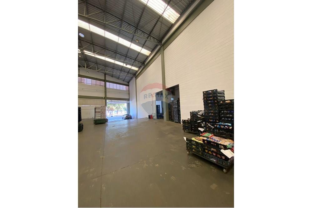 Galpão - Alugar - Ribeirão Preto , São Paulo - IMG-20250724-WA0007.jpg - 780181012-733