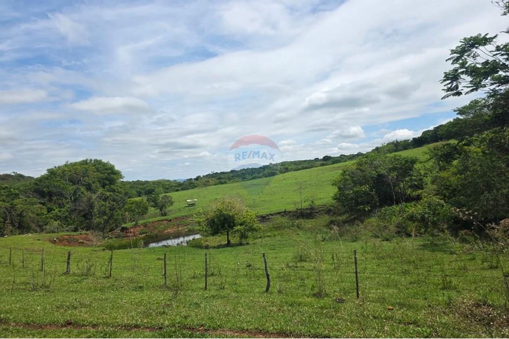 Chácara / Sítio / Fazenda - Venda - Santo Antônio da Alegria , São Paulo - IMG-20251020-WA0187.jpg - 780171030-66