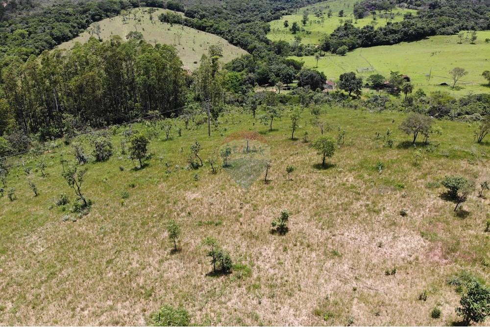Chácara / Sítio / Fazenda - Venda - Delfinópolis , Minas Gerais - DJI_0041.JPG - 780251001-40