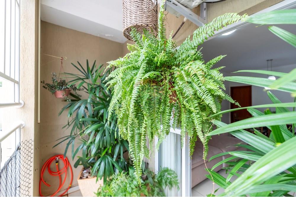 Apartamento - Venda - Ribeirão Preto , São Paulo - IMG_4800-HDR.jpg - 780251003-18