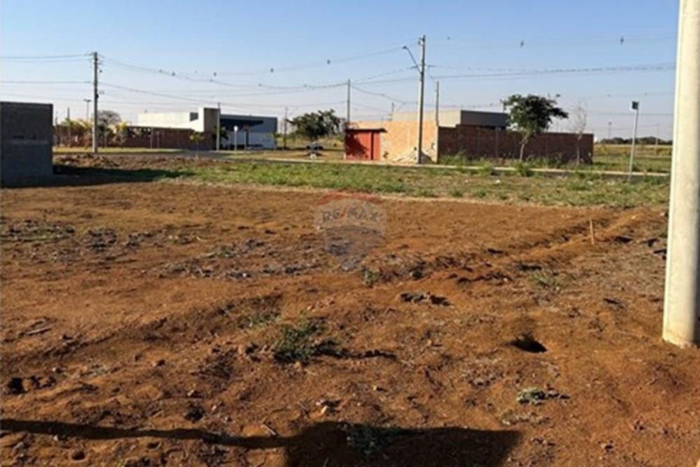 Terreno - Venda - Sertãozinho , São Paulo - WhatsApp Image 2025-08-14 at 15.01.10 (1).jpeg - 780191023-1