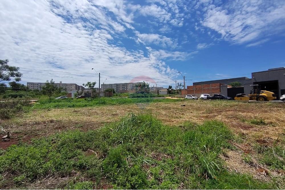 Terreno - Venda - Ribeirão Preto , São Paulo - WhatsApp Image 2025-02-14 at 12.11.37.jpeg - 780201008-123