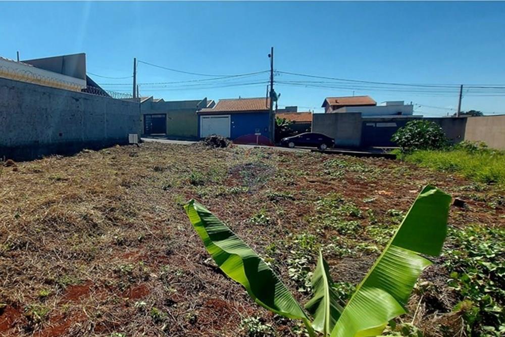 Terreno - Venda - Ribeirão Preto , São Paulo - 20250710_121212.jpg - 780251022-8
