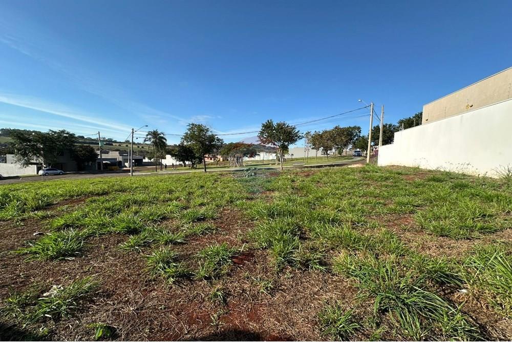 Terreno - Venda - Ribeirão Preto , São Paulo - 7.jpeg - 780211052-21