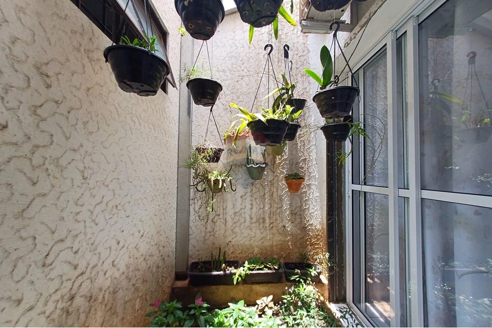 Casa - Venda - Ribeirão Preto , São Paulo - 20241213_114947.jpg - 780121011-96