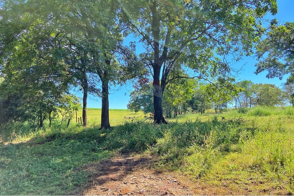 Chácara / Sítio / Fazenda - Venda - Brodowski , São Paulo - IMG-20250313-WA0089.jpg - 780131009-119