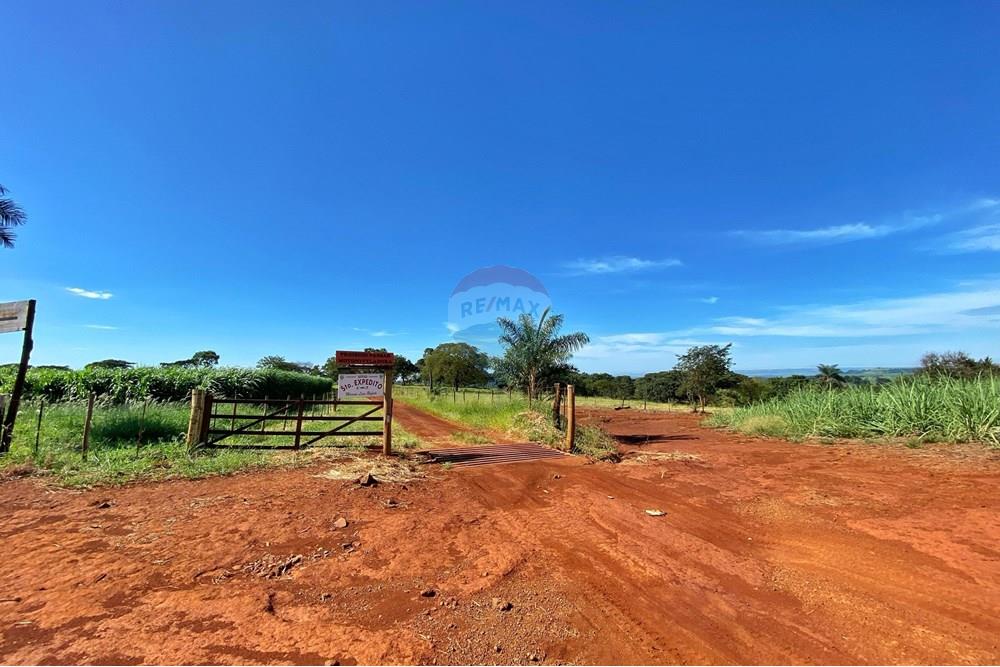 Chácara / Sítio / Fazenda - Venda - Brodowski , São Paulo - Nova 1.jpg - 780131009-119