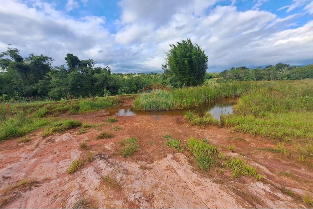 Chácara / Sítio / Fazenda - Venda - Cajuru , São Paulo - IMG-20250406-WA0153.jpg - 780171030-59