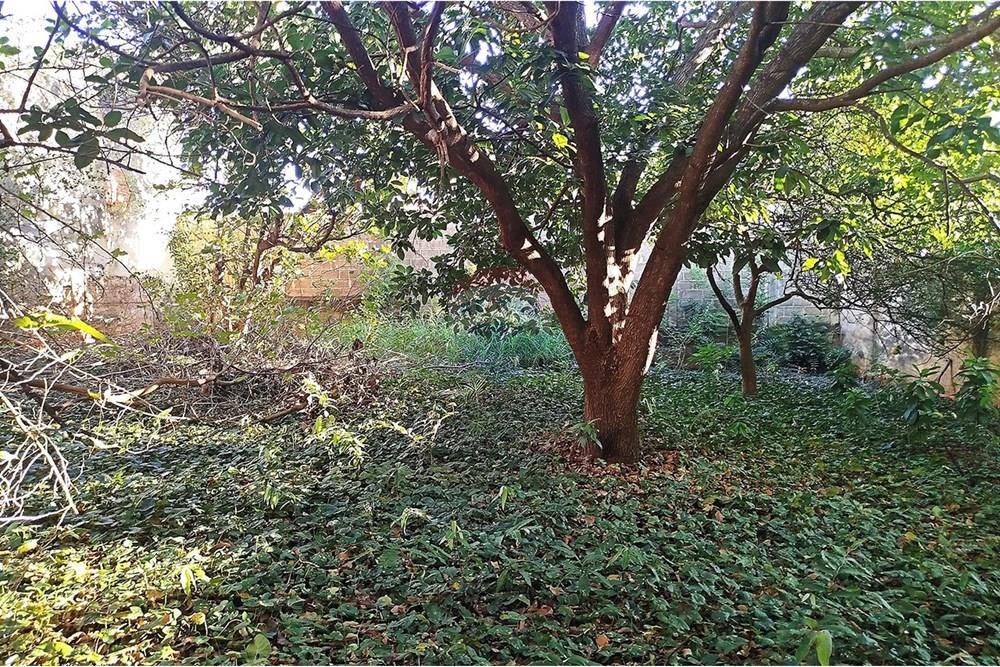 Terreno - Venda - Ribeirão Preto , São Paulo - 01_Terreno Sumaré_Alto Boa Vista (10).jpg - Layout aberto - 780091021-79