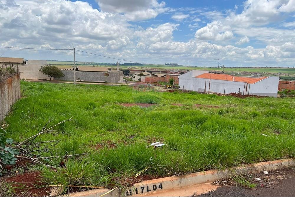 Terreno - Venda - Cravinhos , São Paulo - Terras de Carvinhos - Terreno 6.jpeg - 780271023-5