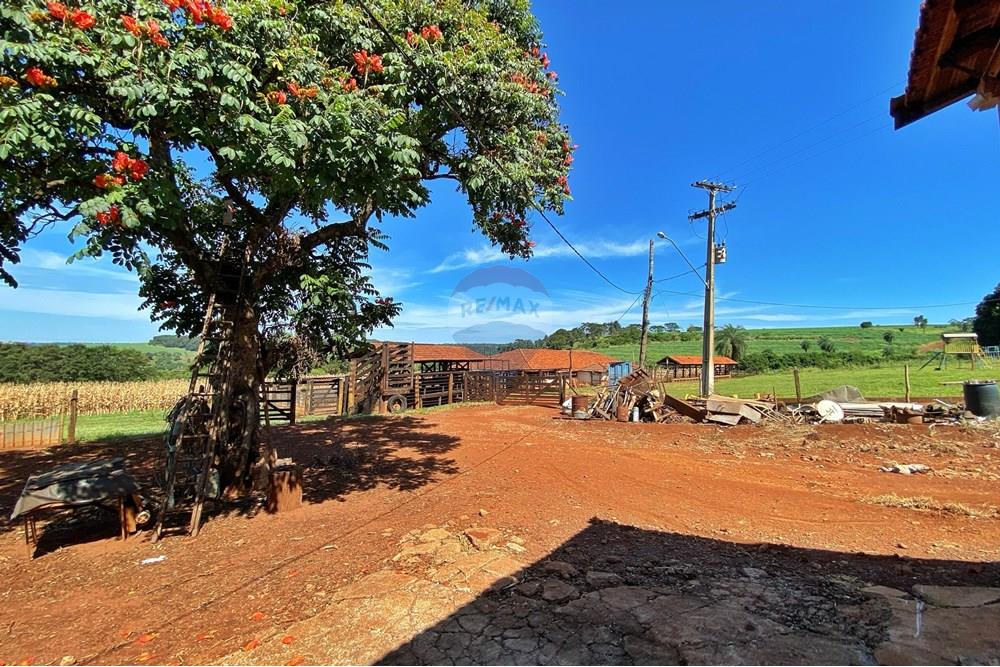 Chácara / Sítio / Fazenda - Venda - Brodowski , São Paulo - IMG-20250313-WA0061.jpg - 780131009-119