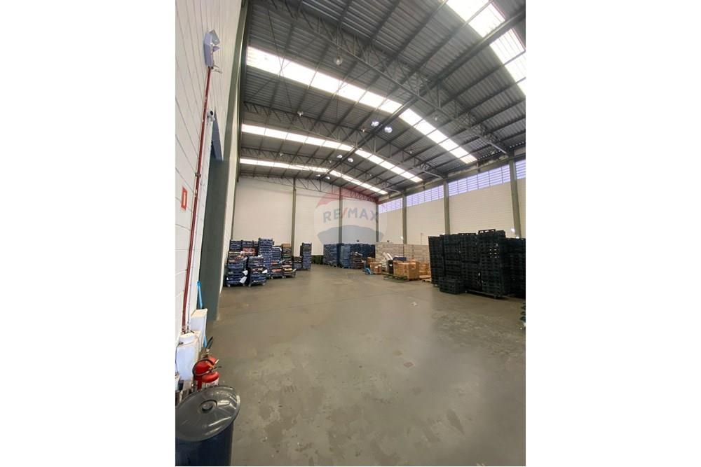 Galpão - Alugar - Ribeirão Preto , São Paulo - IMG-20250724-WA0003.jpg - 780181012-733