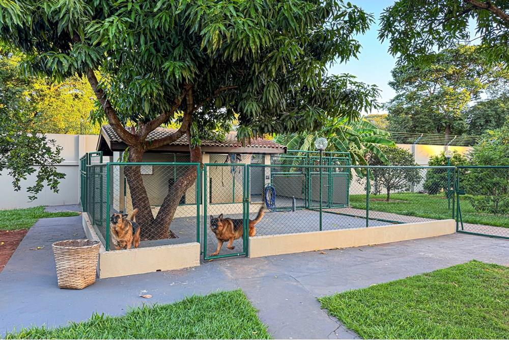 Chácara / Sítio / Fazenda - Venda - Jaboticabal , São Paulo - Foto 06-03-2025, 18 05 16.jpg - 780201029-22