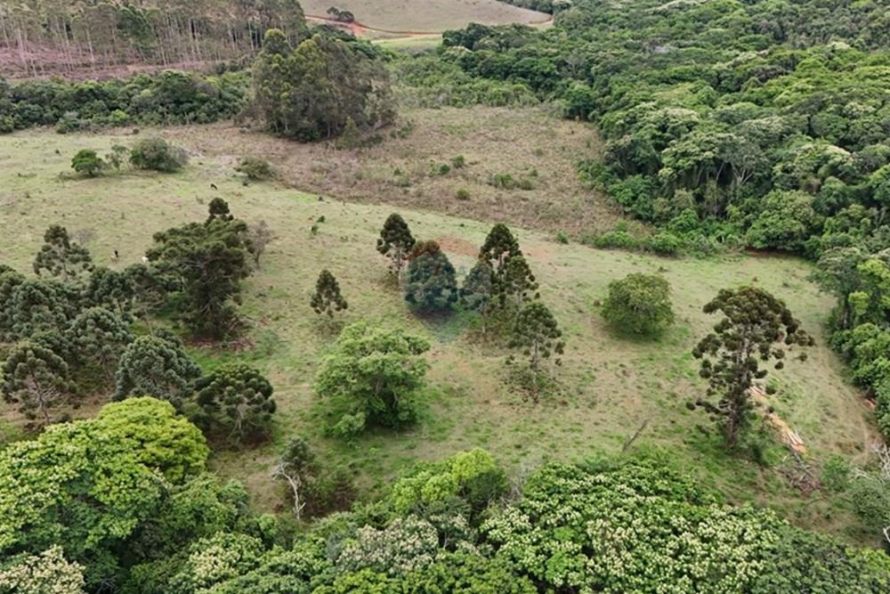 Chácara / Sítio / Fazenda - Venda - Aiuruoca , Minas Gerais - DJI_20241113155455_0325_D.JPG - 780251035-5