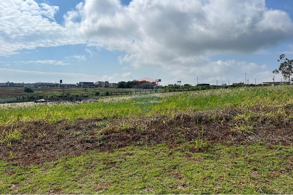 Terreno - Venda - Cravinhos , São Paulo - IMG-20240410-WA0091.jpg - 780241012-46