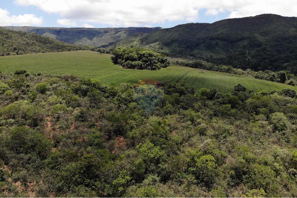 Chácara / Sítio / Fazenda - Venda - Delfinópolis , Minas Gerais - DJI_0048.JPG - 780251001-45