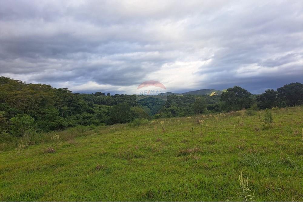 Chácara / Sítio / Fazenda - Venda - Cajuru , São Paulo - IMG-20250406-WA0057.jpg - 780171030-59