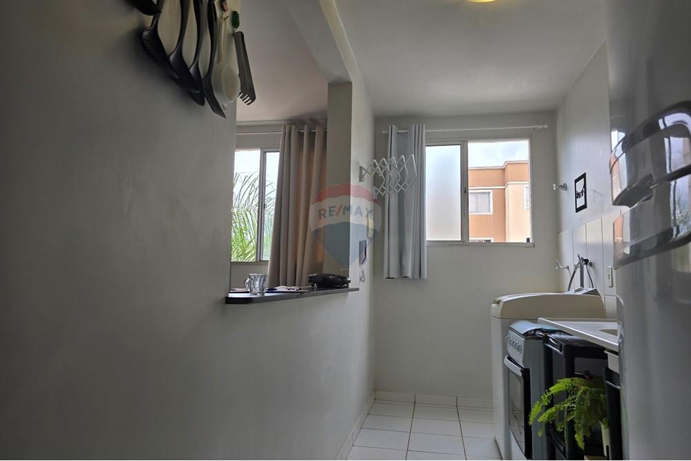 Apartamento - Alugar - Ribeirão Preto , São Paulo - 20250104_111913.jpg - 780171048-85