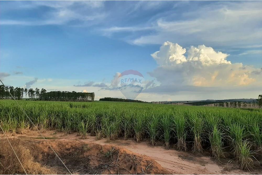 Terreno - Venda - Altinópolis , São Paulo - WhatsApp Image 2025-02-19 at 14.59.35 (1).jpeg - Layout aberto - 780091026-186