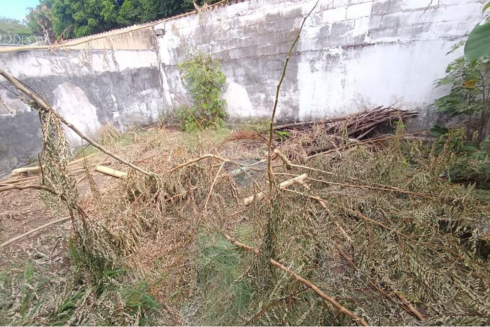 Cj. Comercial/ Sala - Alugar - Ribeirão Preto , São Paulo - IMG-20250514-WA0036.jpg - 780181012-653