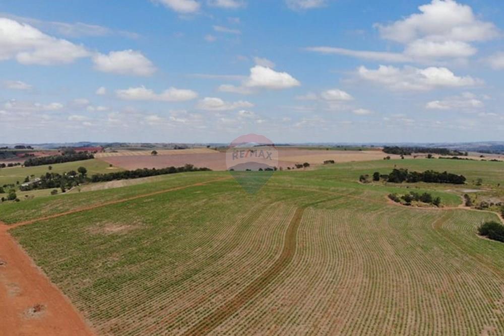 Chácara / Sítio / Fazenda - Venda - Tatuí , São Paulo - A40BCD0C-6ABE-4528-9030-3AA94AA96D61.jpg - 780131001-95