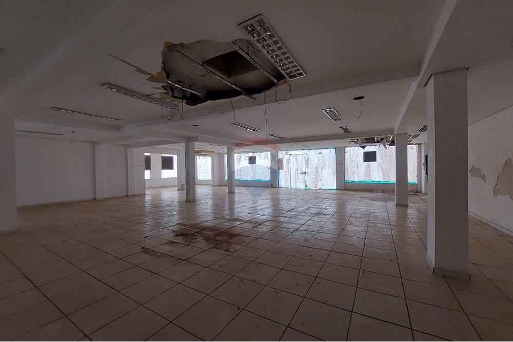 Casa Comercial - Alugar - Ribeirão Preto , São Paulo - 20250409_075227.jpg - 780071076-2