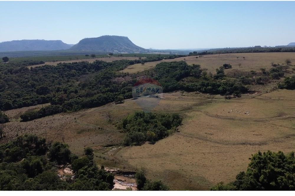 Chácara / Sítio / Fazenda - Venda - Santo Antônio da Alegria , São Paulo - DJI_0041.JPG - 780171030-66