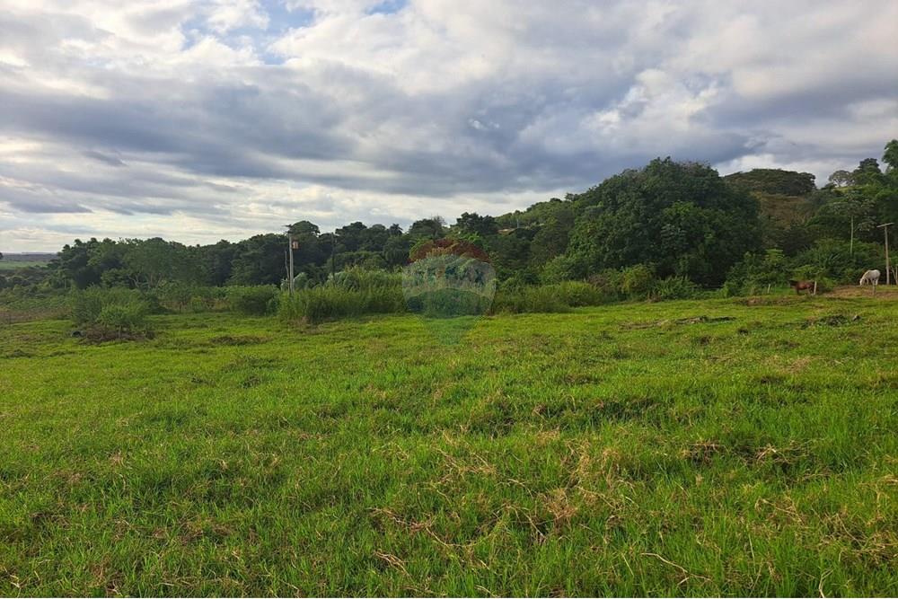 Chácara / Sítio / Fazenda - Venda - Cajuru , São Paulo - IMG-20250406-WA0129.jpg - 780171030-59