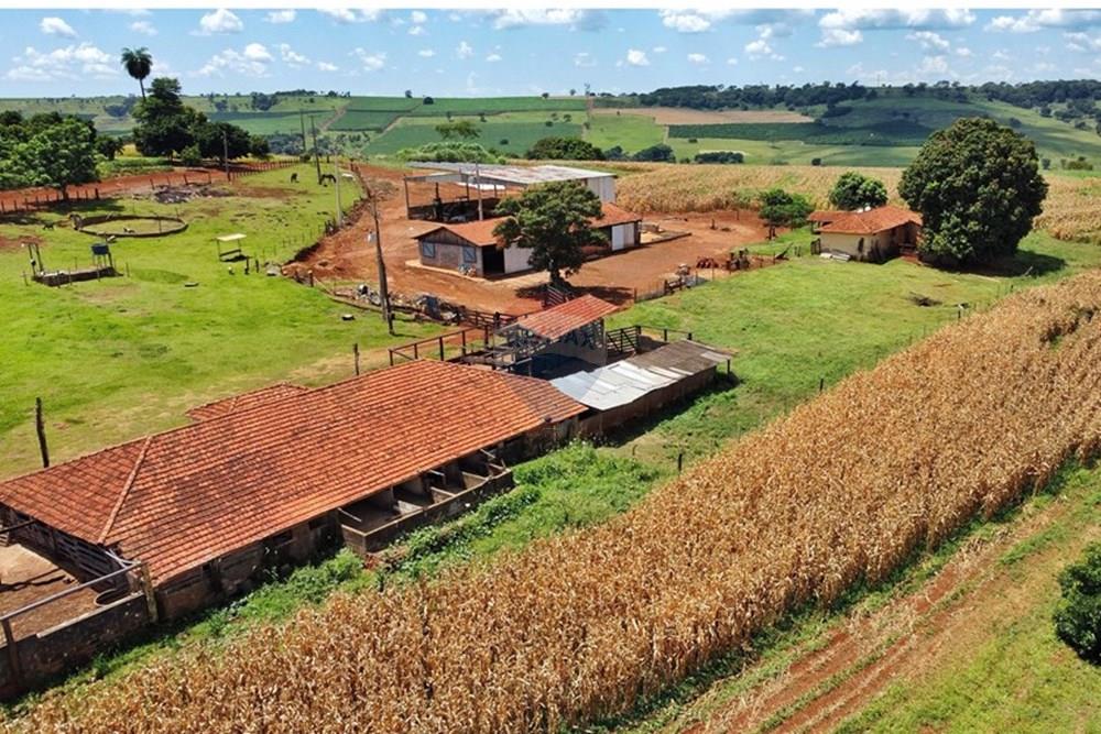 Chácara / Sítio / Fazenda - Venda - Brodowski , São Paulo - nova 21 (1).jpg - 780131009-119