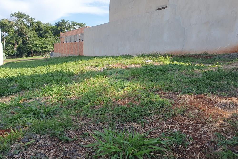 Terreno - Venda - Ribeirão Preto , São Paulo - 1 int fr para fu.jpg - 780131038-28
