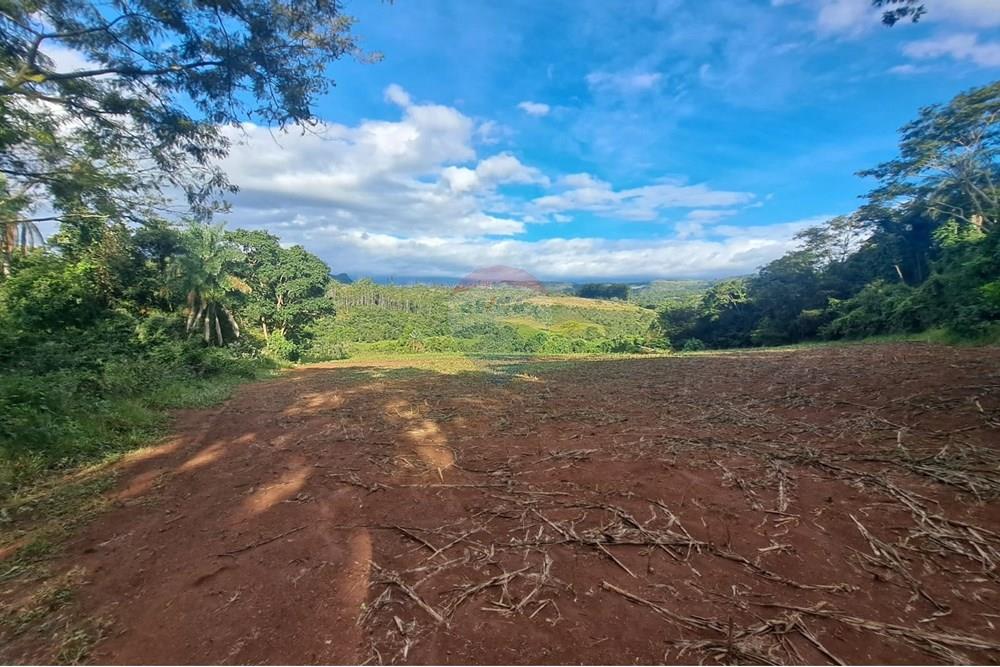 Fazenda - Venda - Cajuru , São Paulo - IMG-20250406-WA0195.jpg - 780171030-57