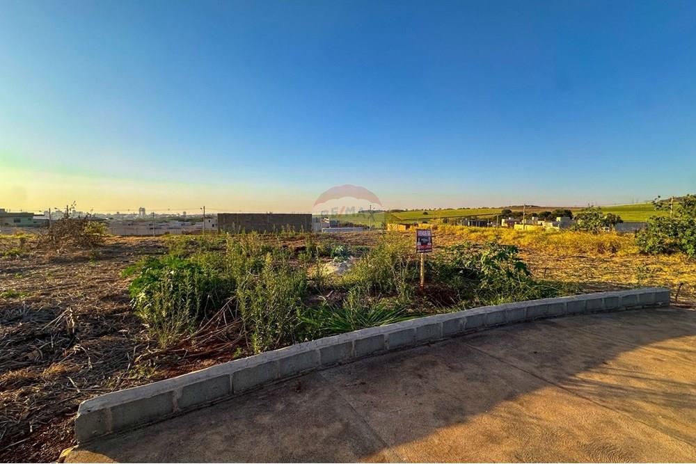 Terreno - Venda - Ribeirão Preto , São Paulo - WhatsApp Image 2025-08-18 at 09.47.54 (3).jpeg - 780241032-2