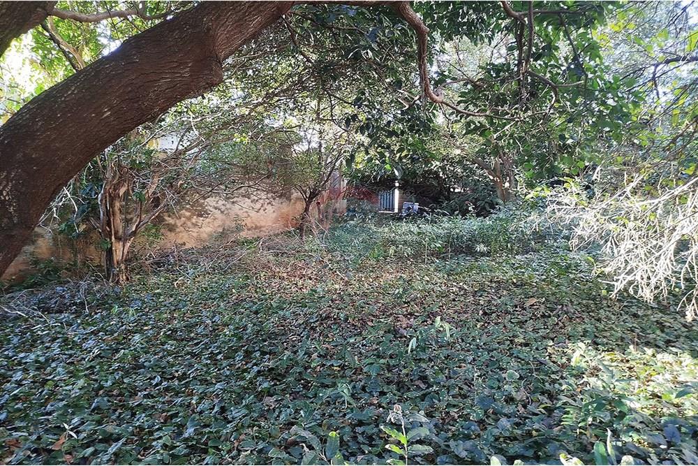 Terreno - Venda - Ribeirão Preto , São Paulo - 01_Terreno Sumaré_Alto Boa Vista (11).jpg - Layout aberto - 780091021-79