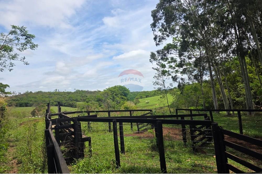 Chácara / Sítio / Fazenda - Venda - Santo Antônio da Alegria , São Paulo - IMG-20251020-WA0185.jpg - 780171030-66