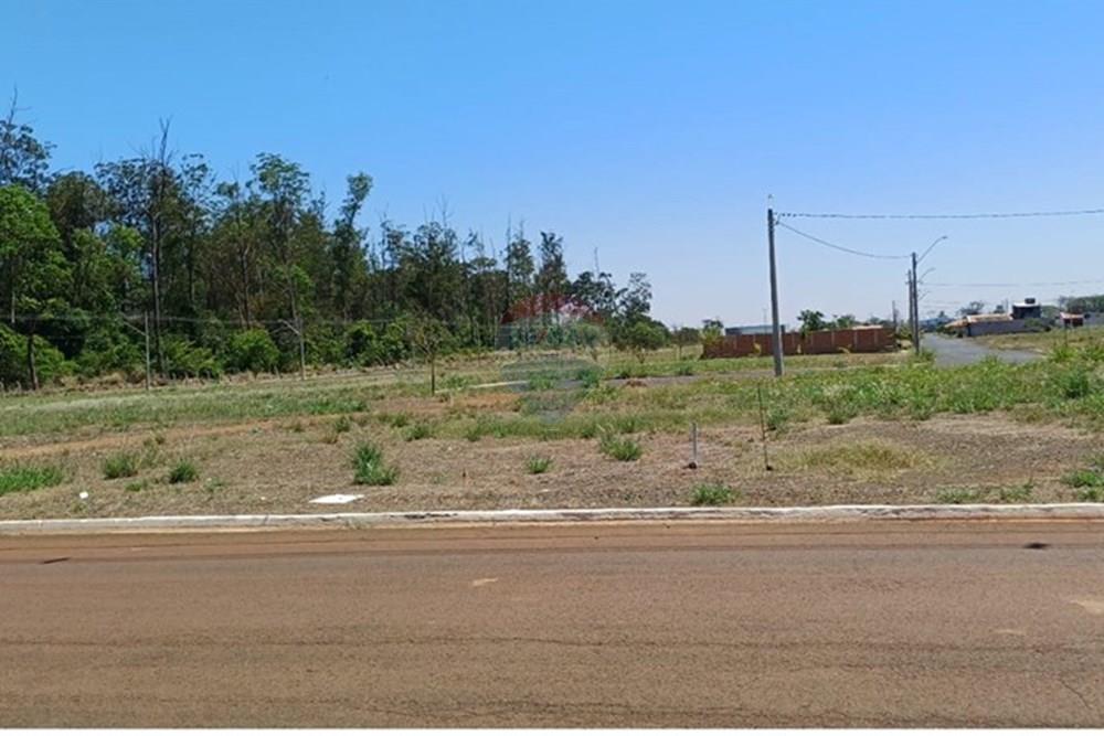 Terreno - Venda - Sertãozinho , São Paulo - IMG-20250926-WA0016.jpg - 780191023-14