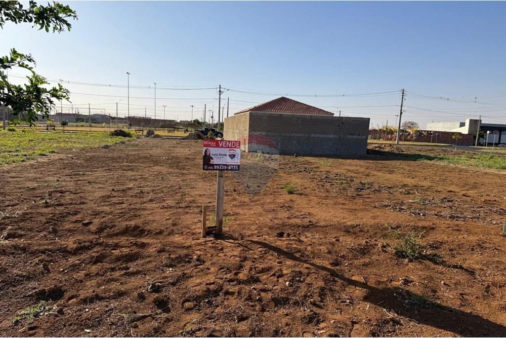 Terreno - Venda - Sertãozinho , São Paulo - IMG-20250813-WA0504.jpg - 780191023-3