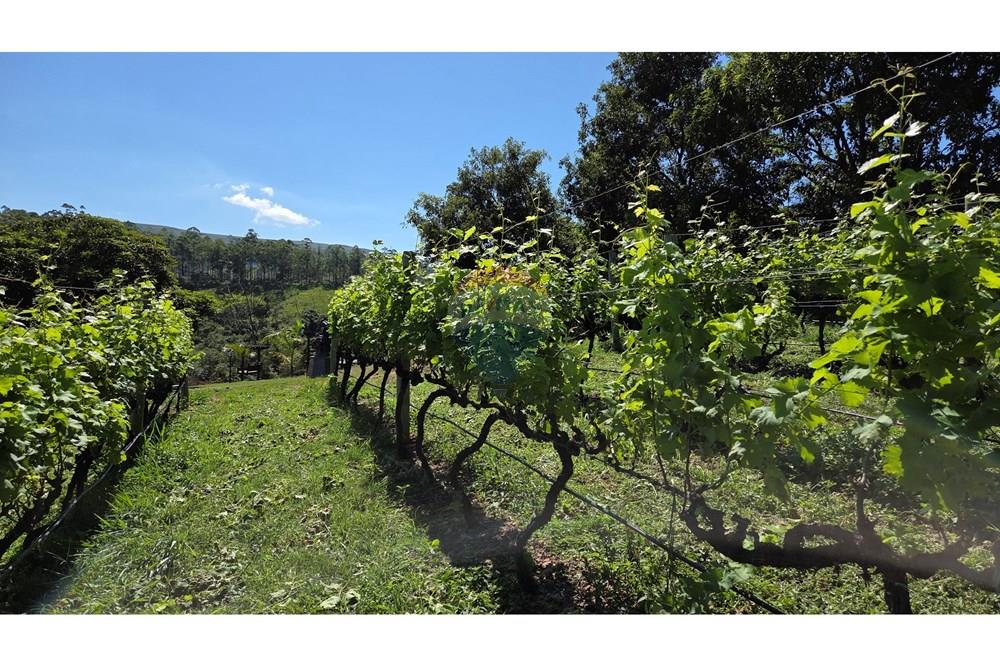 Hotel/ Pousada - Venda - São João Batista do Glória , Minas Gerais - 20250412_100940.jpg - 780251001-47