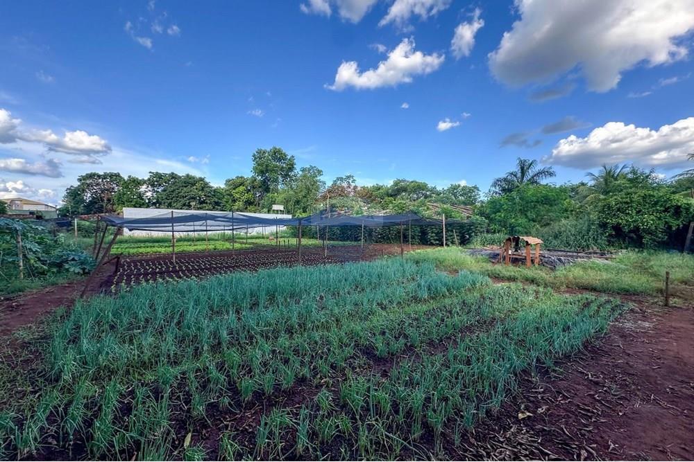 Terreno - Venda - Ribeirão Preto , São Paulo - 21.jpg - 780241010-16