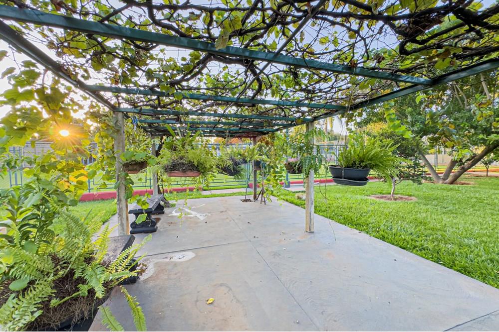 Chácara / Sítio / Fazenda - Venda - Jaboticabal , São Paulo - Foto 06-03-2025, 18 08 14.jpg - 780201029-22