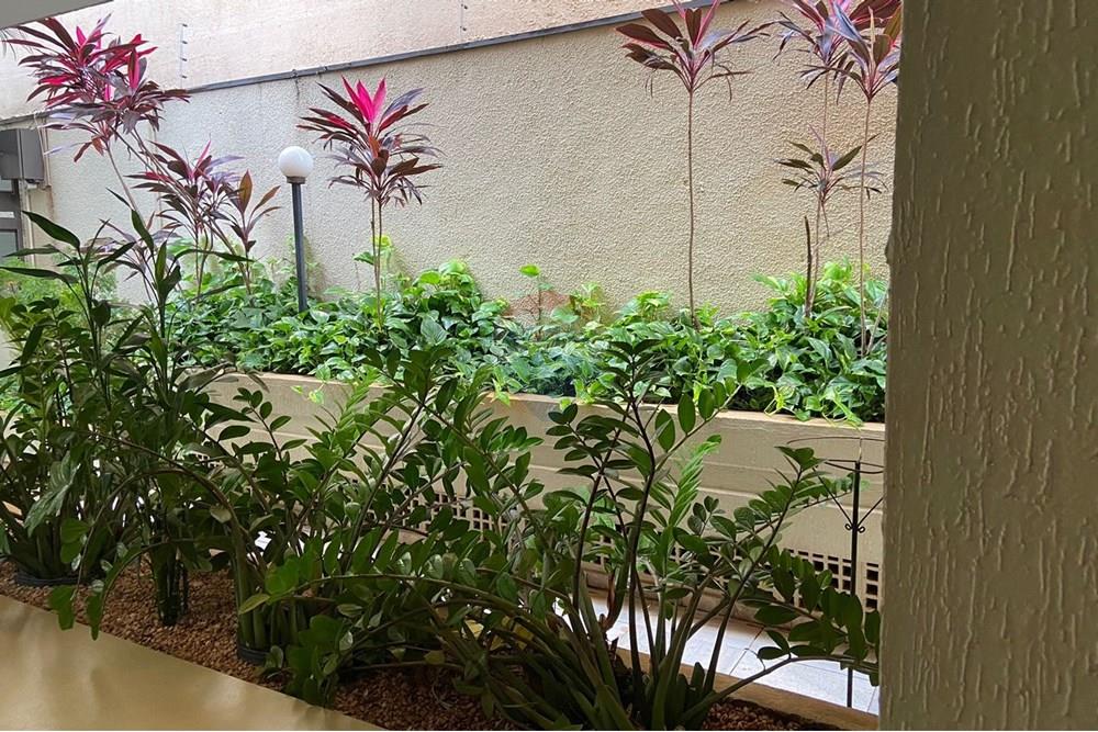 Apartamento - Venda - Ribeirão Preto , São Paulo - WhatsApp Image 2025-06-03 at 15.51.19 (2).jpeg - 780071038-59