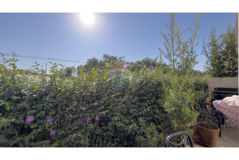 Apartamento - Venda - Ribeirão Preto , São Paulo - IMG_0742.jpg - 780091007-94