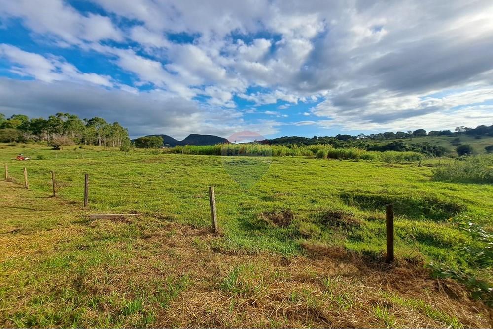 Fazenda - Venda - Cajuru , São Paulo - IMG-20250406-WA0122.jpg - 780171030-57