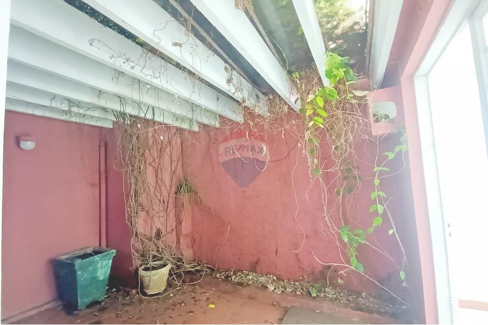 Ponto Comercial/ Loja - Alugar - Ribeirão Preto , São Paulo - IMG_20250219_084957.jpg - 780181012-574