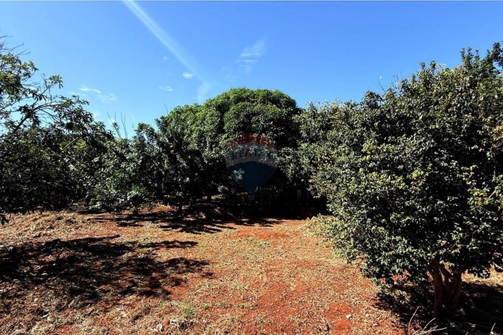 Chácara / Sítio / Fazenda - Venda - Ribeirão Preto , São Paulo - IMG_5089.jpg - 780131053-19