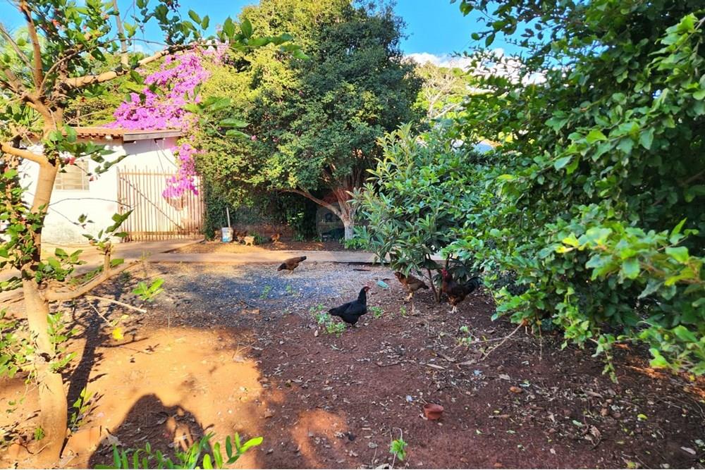 Chácara / Sítio / Fazenda - Venda - Ribeirão Preto , São Paulo - WhatsApp Image 2025-06-27 at 10.59.01 (4).jpeg - Pátio interno - 780091032-138