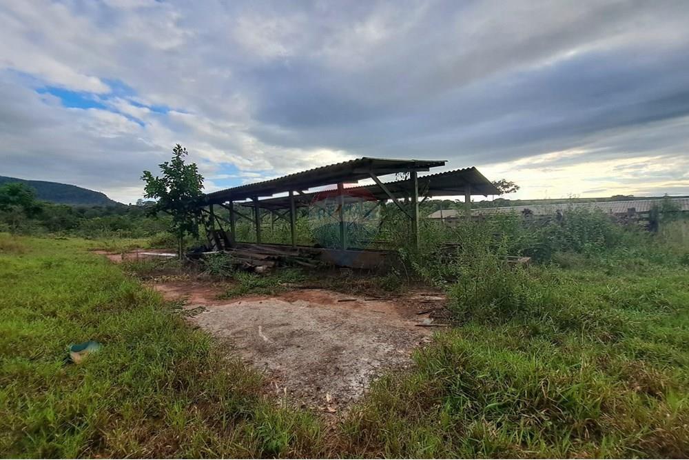 Fazenda - Venda - Cajuru , São Paulo - IMG-20250406-WA0102.jpg - 780171030-57